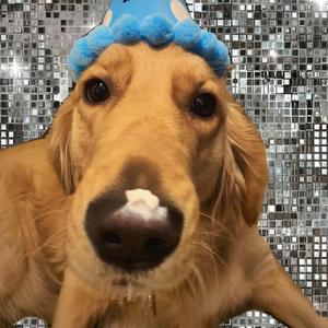 性少妇BbBBb老少配毛多多
